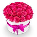 Pink Casidy